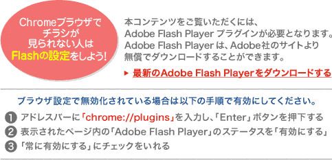 {Recɂ́AAdobe Flash PlayervOCKvƂȂ܂B
	AdobeFlashPlayeŕAAdobeЂ̃TCg薳Ń_E[h邱Ƃł܂B